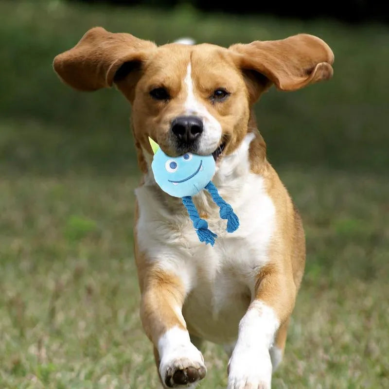 Blue and yellow cartoon character dog squeaky toy with strong knot rope design