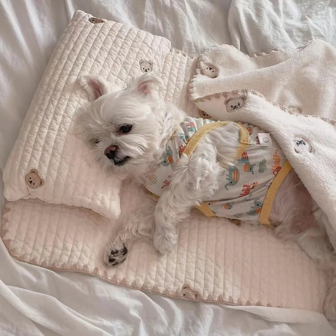Simple bear pattern dog bed set with mattress, pillow, and quilt in washable polyester
