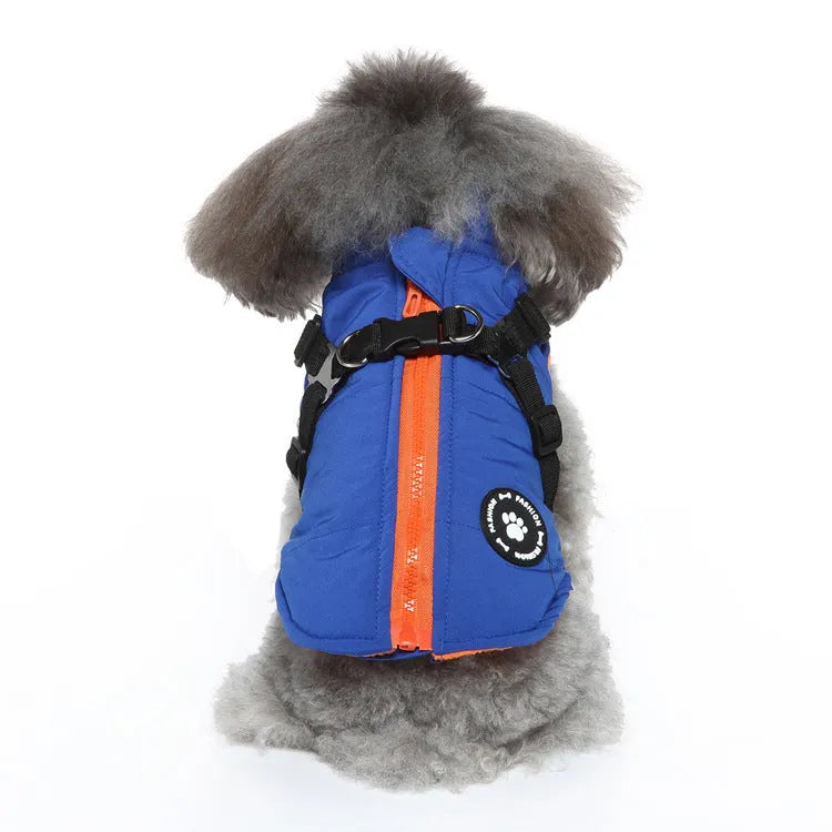 Adjustable chest strap dog winter jacket in blue, showing the strap closure and cotton-padded design.