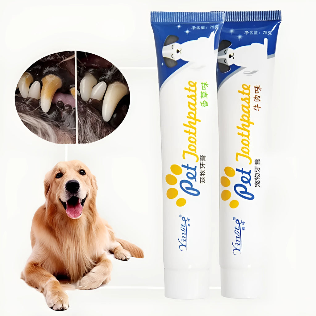 75g cat and dog toothpaste tube in vanilla or beef flavour for pet dental cleaning
