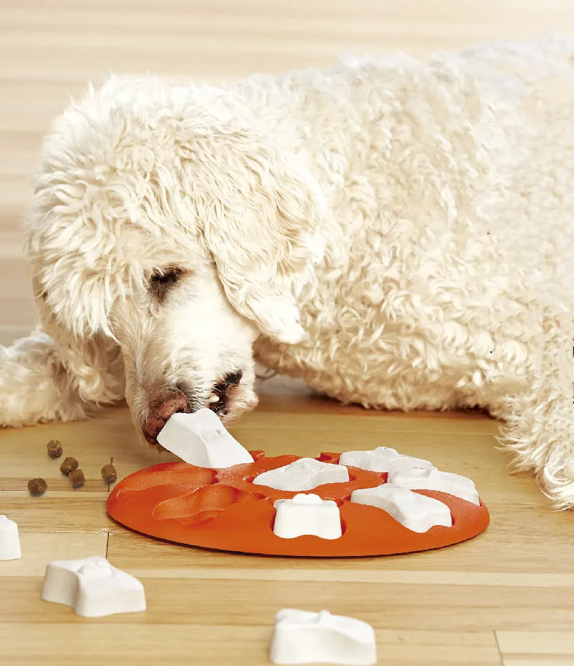 Orange and white plastic leak food toy for dogs and cats, puzzle feeder on surface
