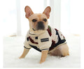 Camouflage dog hooded coat with two-legged design on a dog, showing hood and waterproof fabric