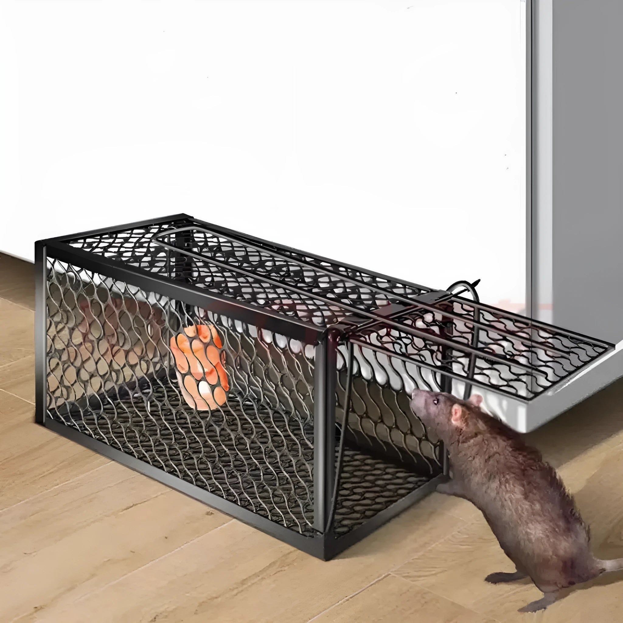 Automatic humane mouse cage trap in metal and plastic, shown in small, medium, and large sizes for indoor rodent control.