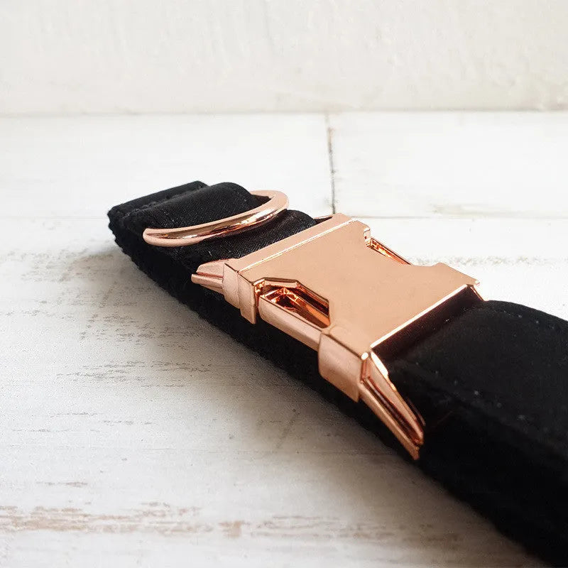 Black polyester dog collar for general use, shown as a simple pet collar available in sizes XS to XL.
