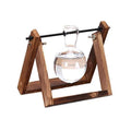 Glass plant terrarium with wooden stand in geometric shape for desk decoration