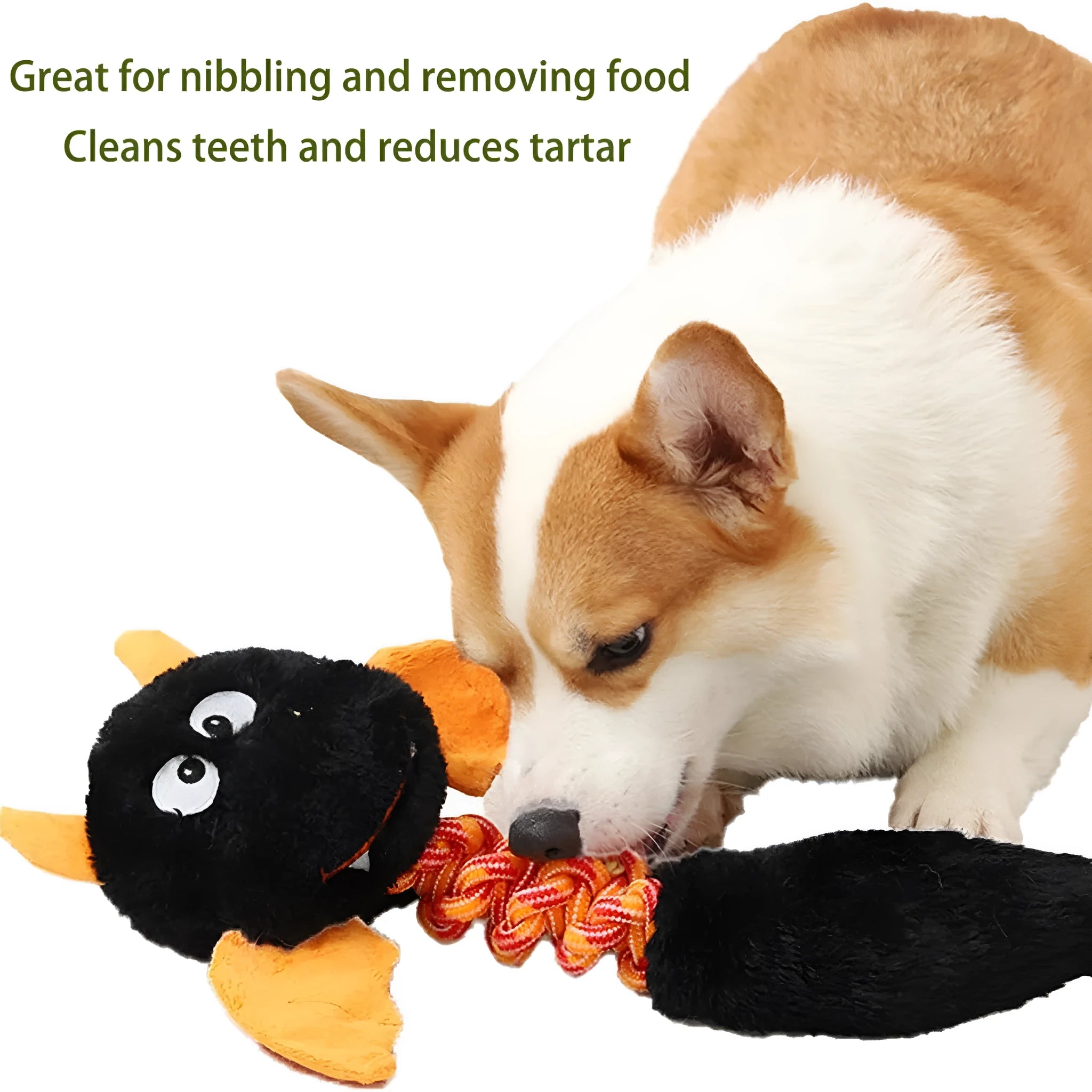 Cartoon-style plush dog toy with a chew rope, shown in black, green, or red colours.