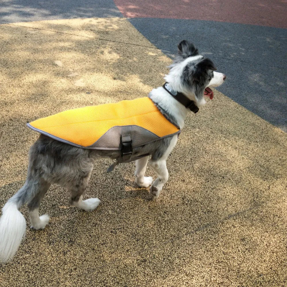 Summer dog cooling vest in blue with breathable mesh surface and cool-sensing fabric lining