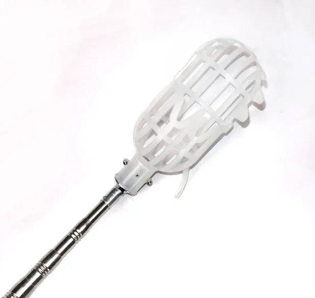 Silver metal fruit picker with 15cm cutting ring and cotton collection bag on a branch
