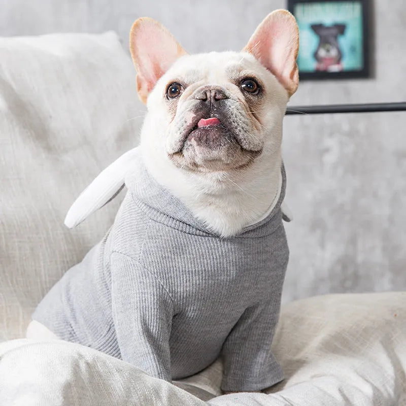 Light grey soft fabric dog sweater for spring and autumn, pullover style on a small dog