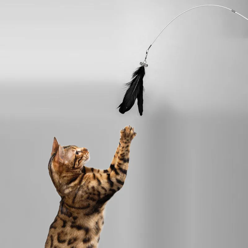 Telescopic cat fishing rod toy extended with goose feather teasers and self-hi bell