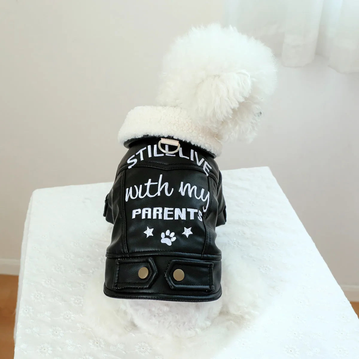 Fleece-lined padded pet coat in beige, black, or suede leather for small dogs and cats