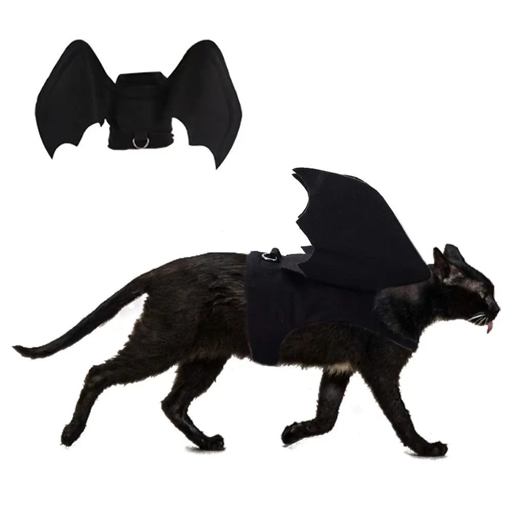 Black cloth bat wing pet costume on a dog or cat with 3D foldable wings and bat bell