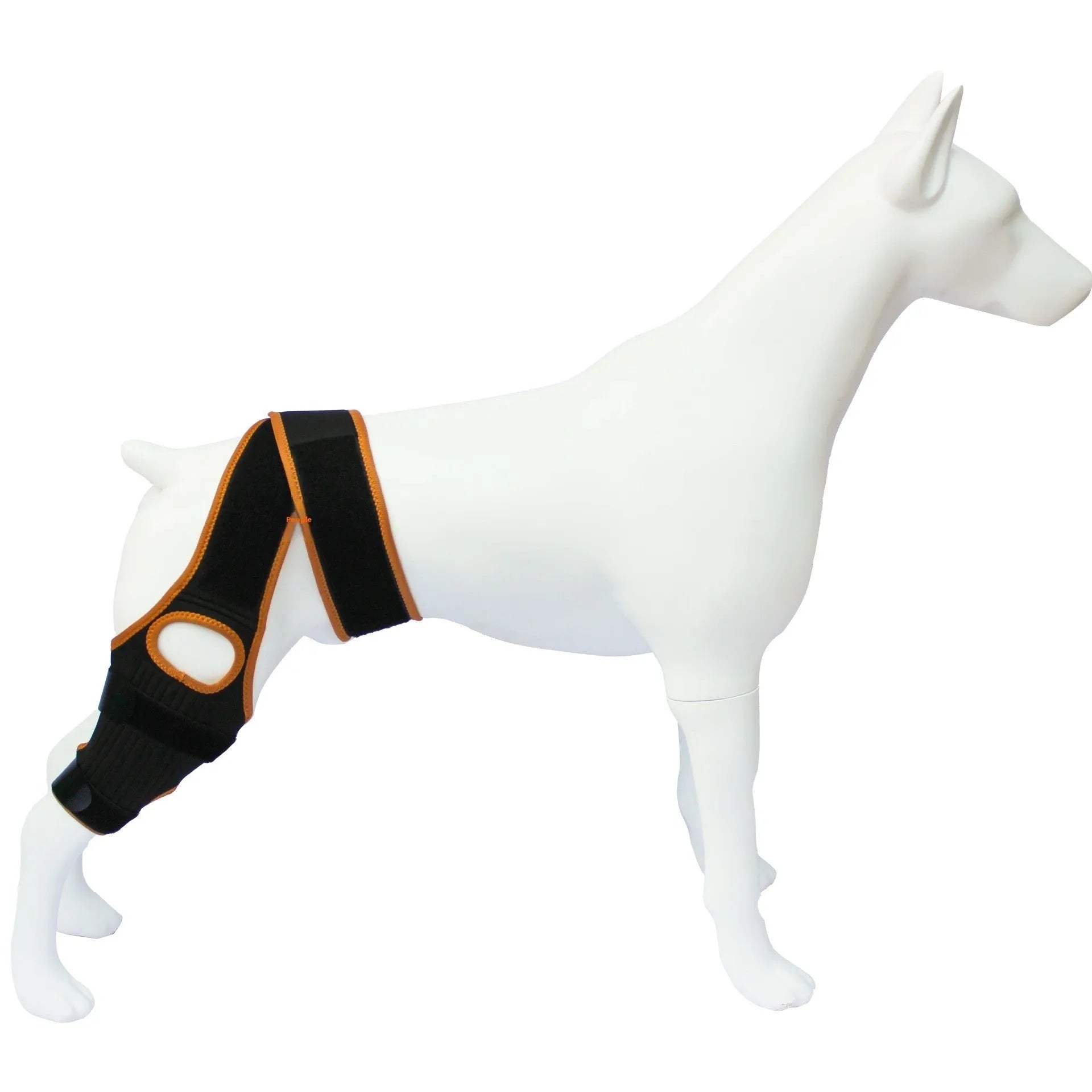 Adjustable neoprene dog knee brace strap for hind leg support, shown in sky blue colour.