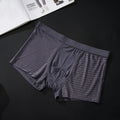 Silky mesh boxer briefs for men, high modal content, wide brim belt, available in L to 3XL sizes