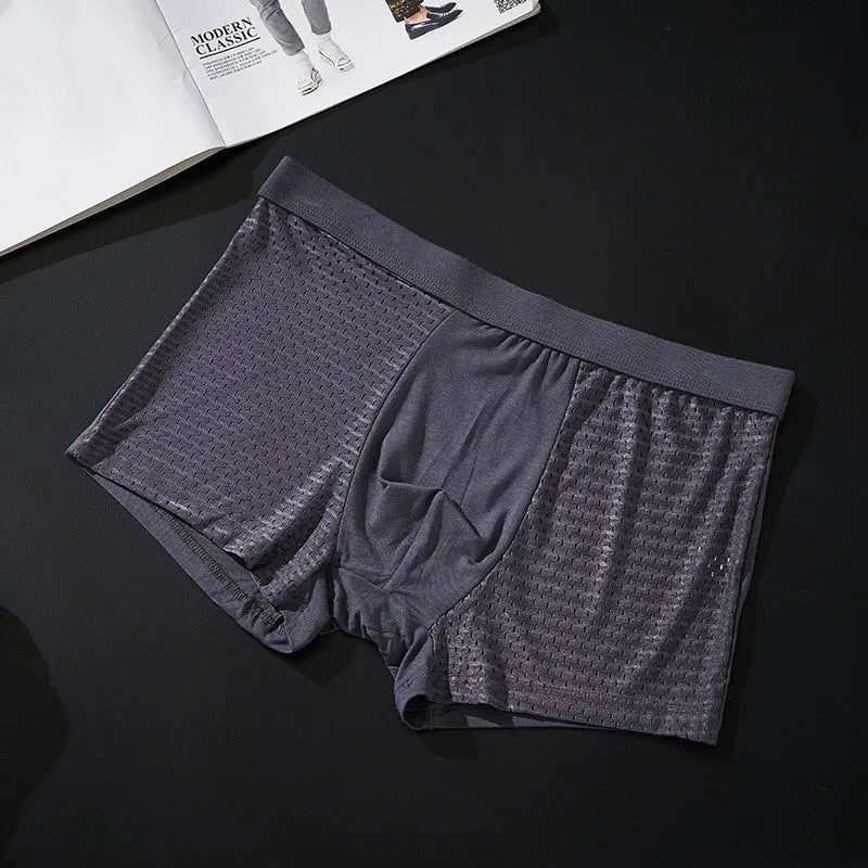 Silky mesh boxer briefs for men, high modal content, wide brim belt, available in L to 3XL sizes