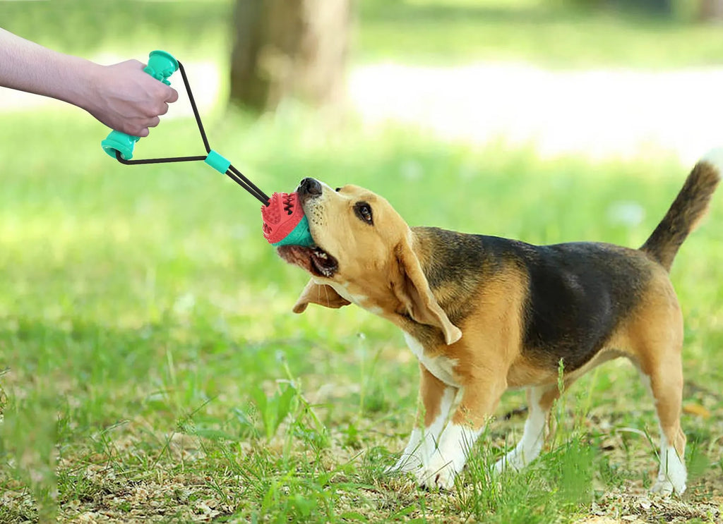 Pet toy set with pull rope, 8.5cm training ball, and 12cm molar stick for dogs