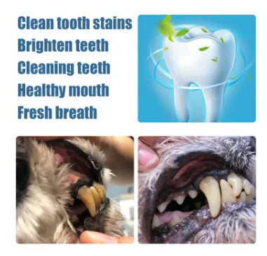 Yegbong pet teeth whitening pen with dental brush set for dogs and cats