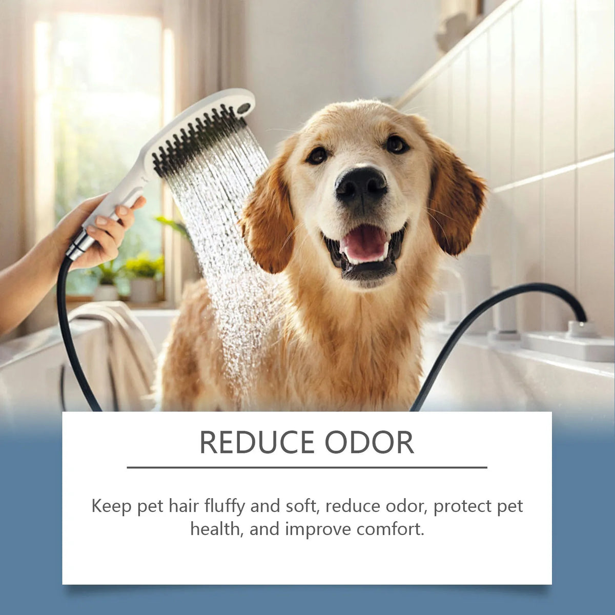 100ml bottle of mild cat and dog shampoo with coconut oil, milk and citrus peel extract