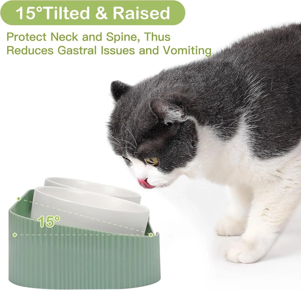 Green ceramic raised cat bowl set with two bowls on a 15° tilted stand and non-slip base.