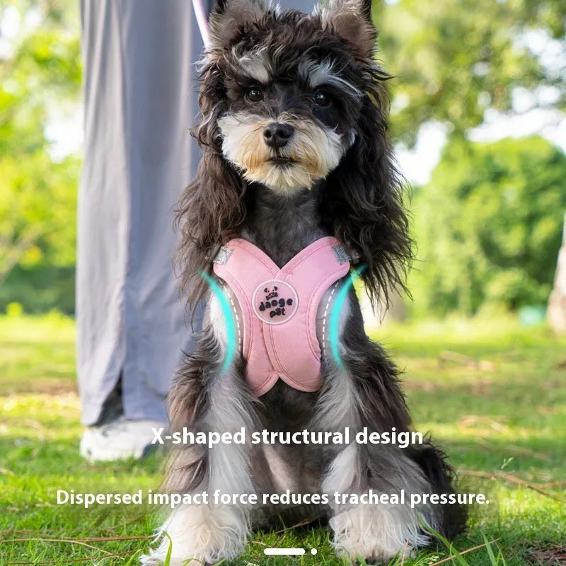 Blue polyester dog harness vest with an attached hand-holding rope lead.
