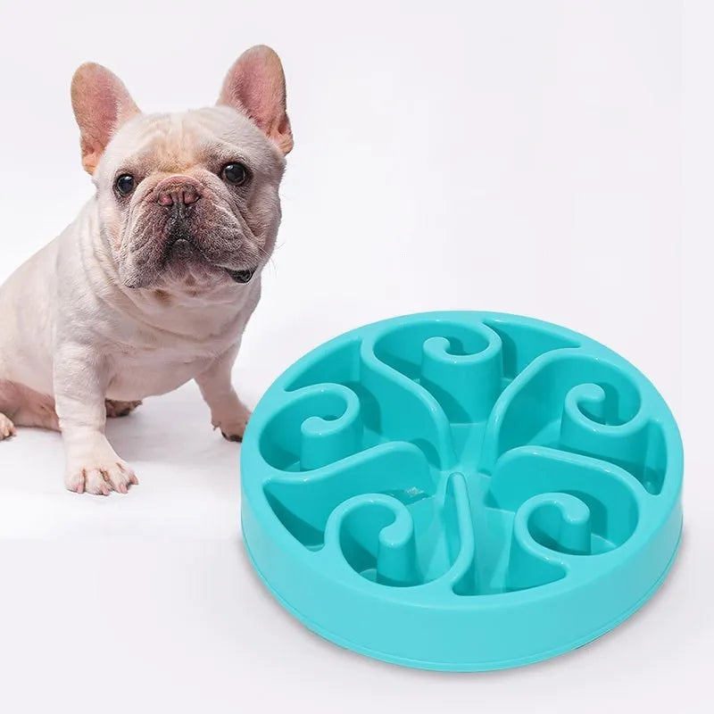 PP slow feeder dog bowl for puppies in blue, green, pink and other colours