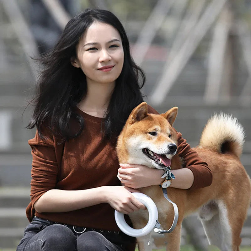 Retractable dog leash in grey with ABS housing and collar clip, shown on a white background