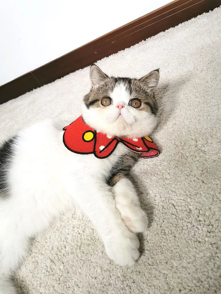Pet scarf collar for small and medium dogs in Blue Red White Yellow sizes S L