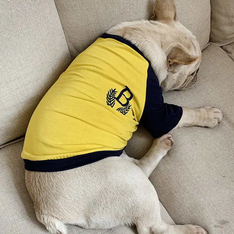 Dog wearing a short sleeve casual top in double yarn stretch Odell fabric, colour Blue