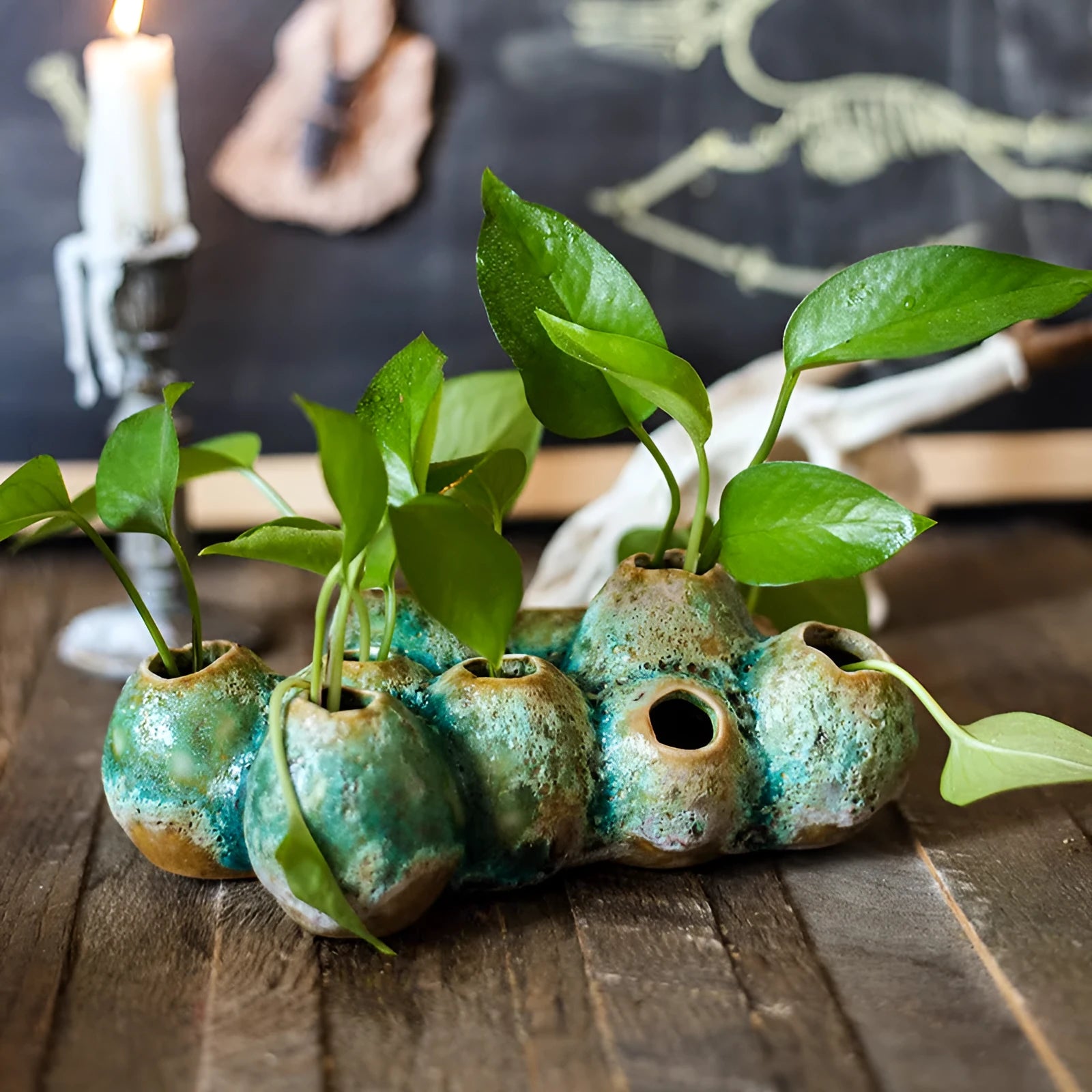 Medium barnacle vase ceramic flower pot in porous design for dried flower displays