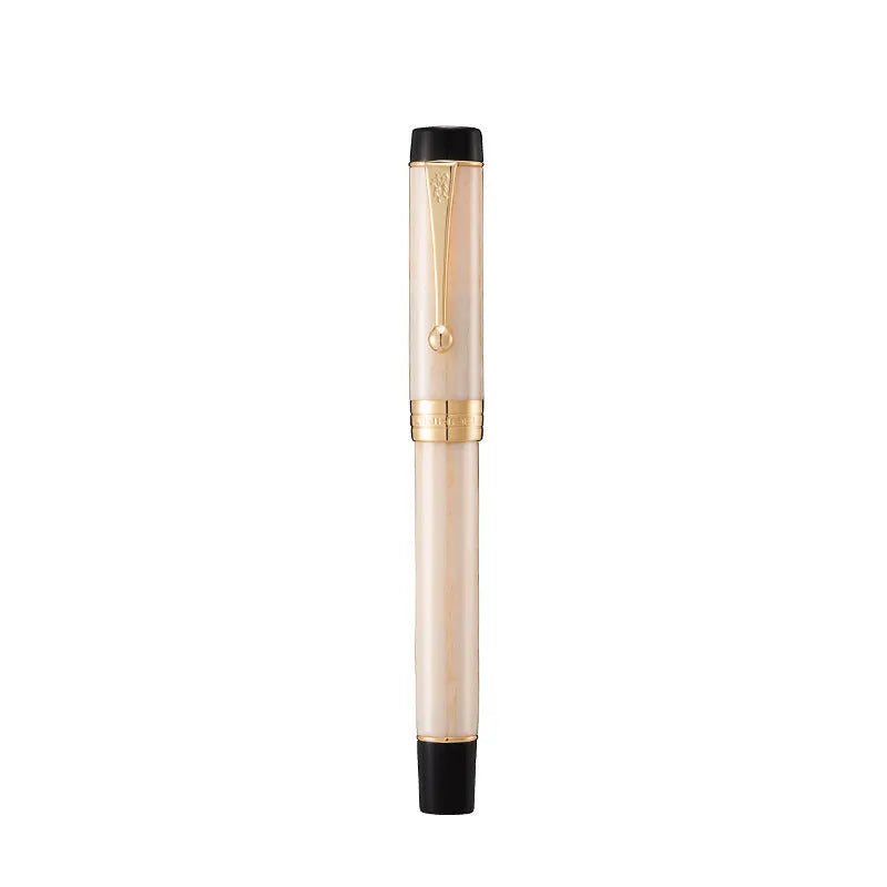 Tofu fountain pen set of 9 iridium nib 0.5mm business gift pens in various colours