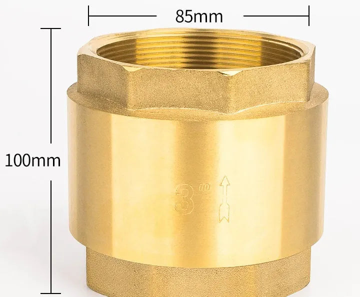 Brass check valve shown in horizontal and vertical configurations with threaded connections