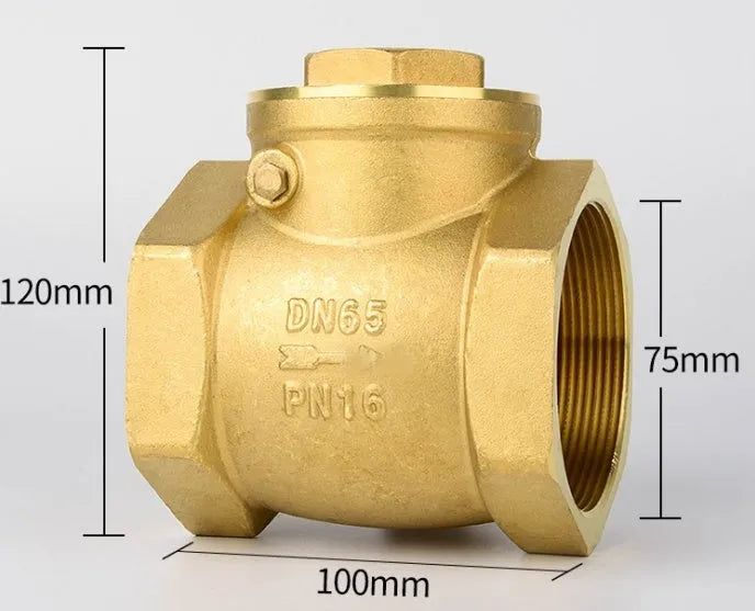 Brass check valve shown in horizontal and vertical configurations with threaded connections