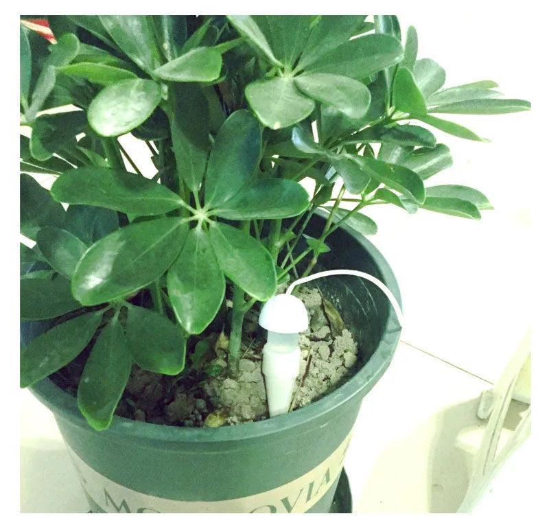 White ceramic and PP self-watering seepage device with 78cm pipe, 11cm height, 3cm diameter for potted plants