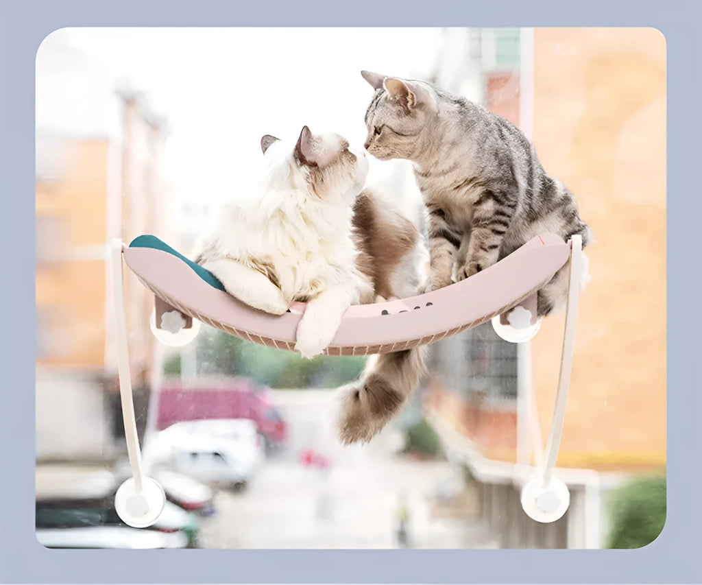 Hanging cat hammock in blue, grey, pink, or white plastic, with scratcher or flannel style for sunbathing cats
