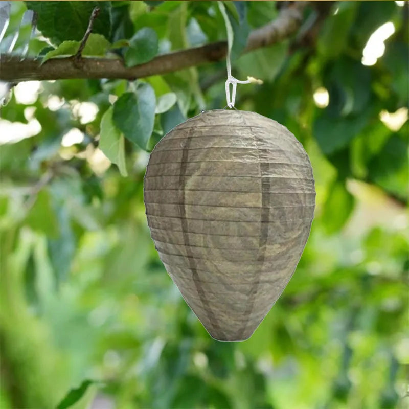 Open honeycomb paper lantern with printed graphic design, showing dimensions of 22cm by 28cm.