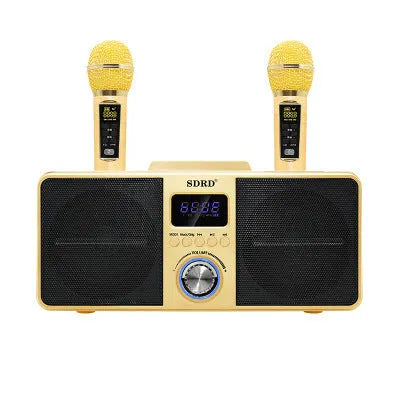 Black Bluetooth karaoke speaker with two wireless microphones for home entertainment