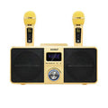Black Bluetooth karaoke speaker with two wireless microphones for home entertainment