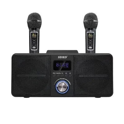 Black Bluetooth karaoke speaker with two wireless microphones for home entertainment