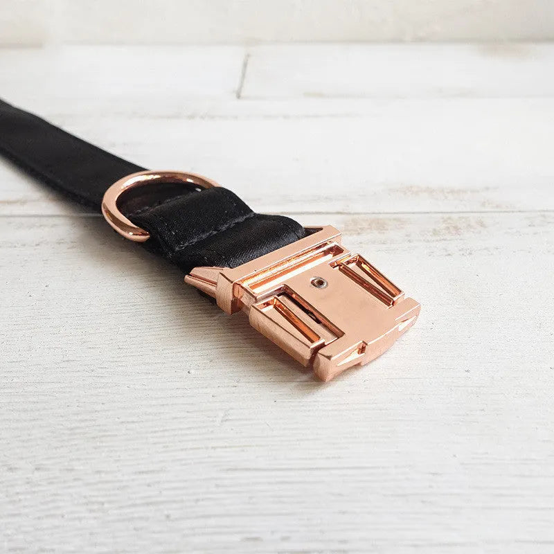 Personalized black polyester dog collar in sizes XS to XL with optional matching rope lead for everyday walks.