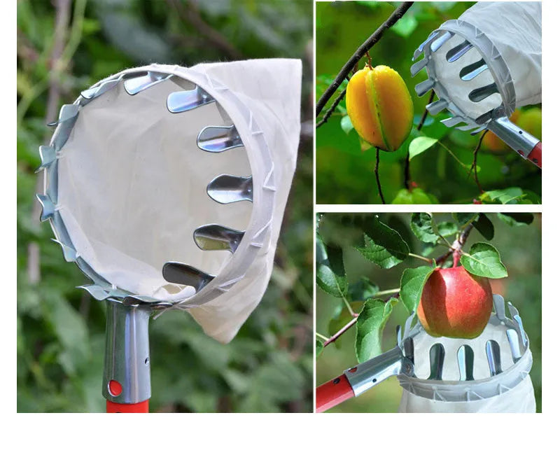 Fruit picker garden tool with steel frame and cloth bag for harvesting citrus pears peaches