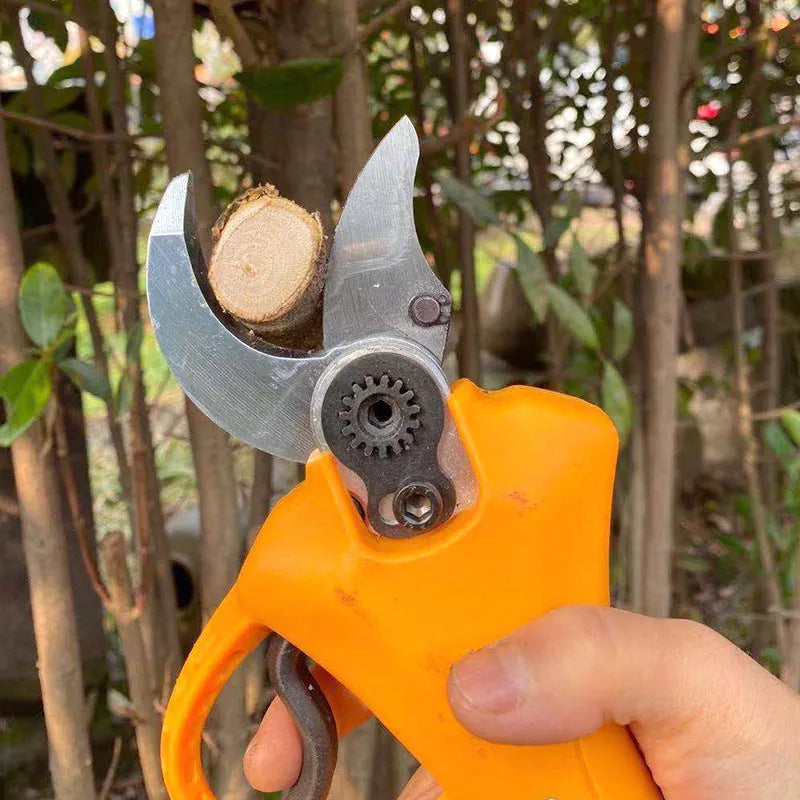 Double Silver SY350 electric garden shears with lithium batteries for fruit tree branch pruning