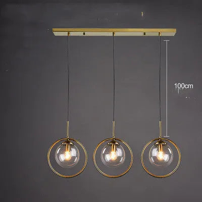 Single head glass chandelier with iron body and adjustable height, transparent glass shade