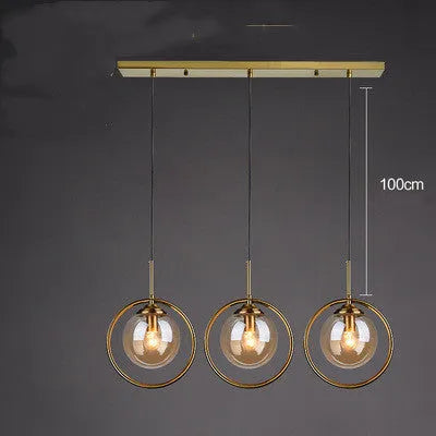 Single head glass chandelier with iron body and adjustable height, transparent glass shade