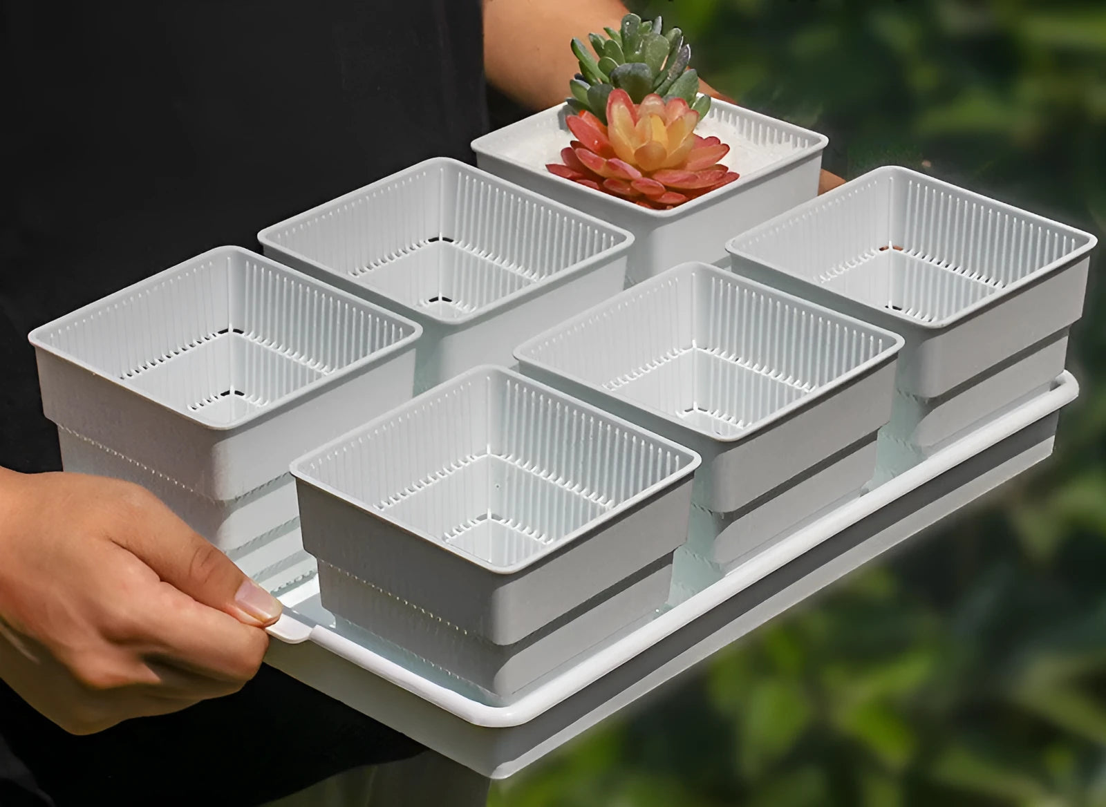 Black and white root control plastic flower pot for succulents with multiple basin colour options