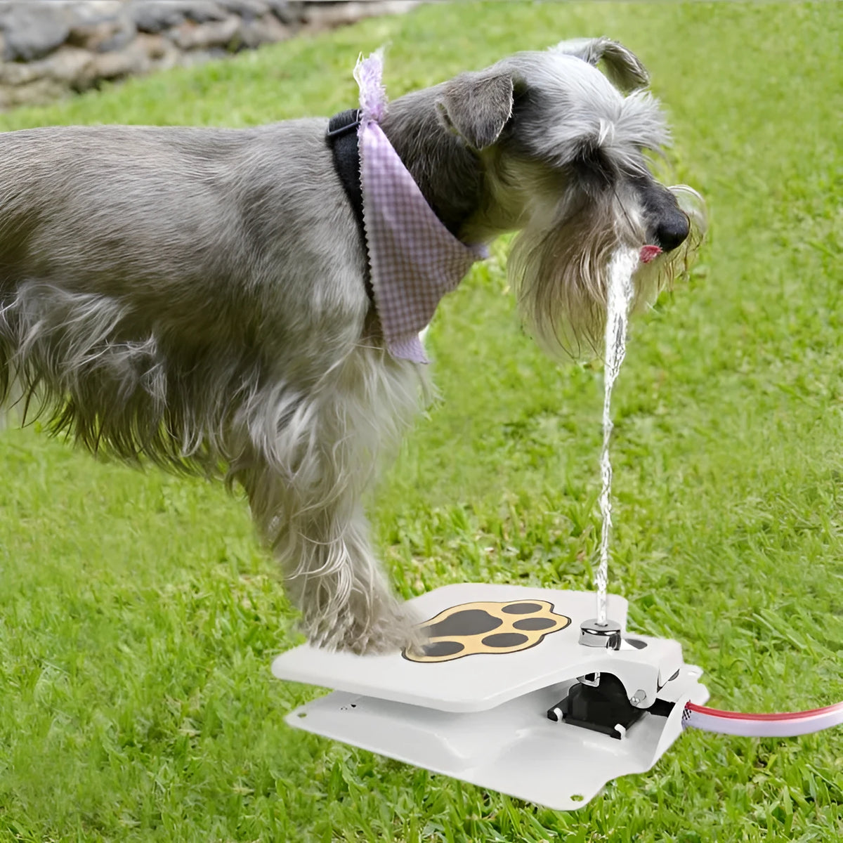 White automatic pet water fountain with iron frame and PVC hose for cats and dogs