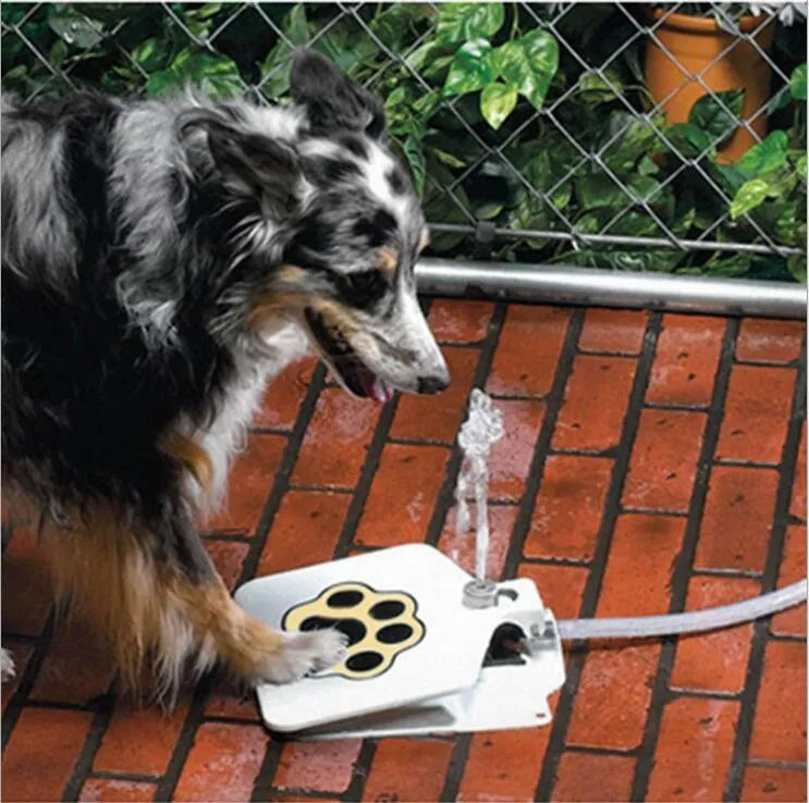 White automatic pet water fountain with iron frame and PVC hose for cats and dogs