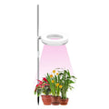Compact white desk plant growth lamp with LED heads on a slender stand.