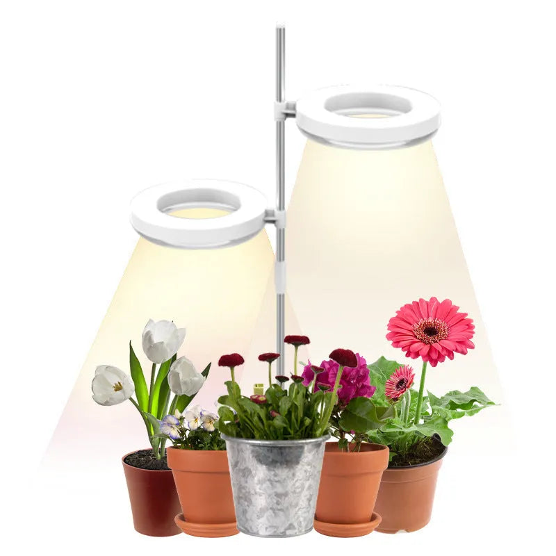 Compact white desk plant growth lamp with LED heads on a slender stand.
