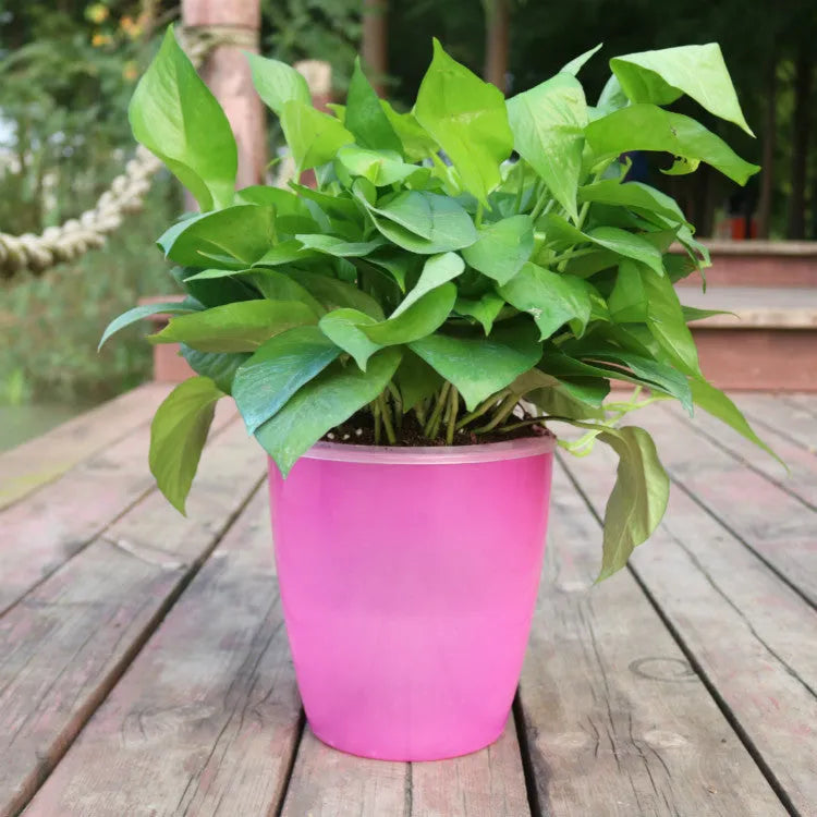Self-watering flower pot in translucent blue colour with planting basket and cotton rope for indoor plant care