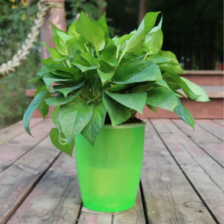 Self-watering flower pot in translucent blue colour with planting basket and cotton rope for indoor plant care